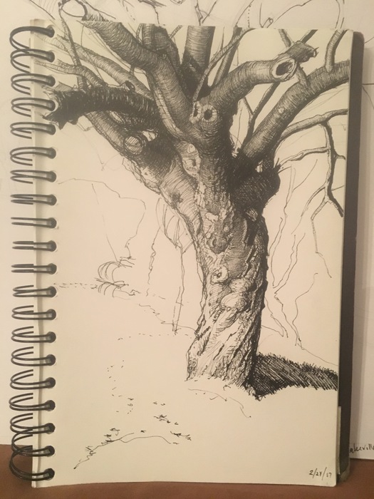 Tree Sketch