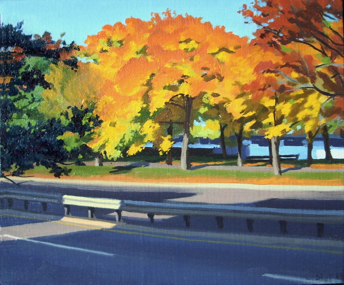 Trees by Storrow Drive 