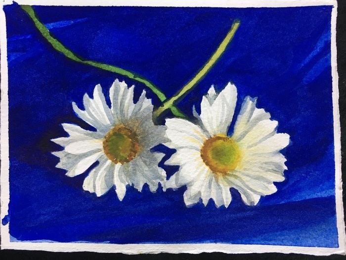 Daisies on Blue